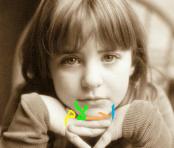 ������ ������� ����� �����