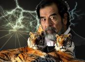 ������ ������� ������