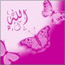 ������ ������� ������