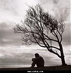 ������ ������� ��������