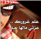 ������ ������� ���� ������