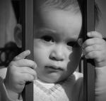 ������ ������� ���� ��������