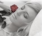 ������ ������� ����� ������