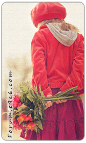 ������ ������� ���� ����