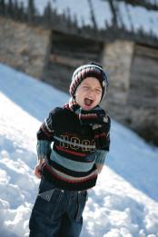 ������ ������� ���� �����