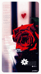 ������ ������� ����� ������� ~