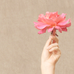 ������ ������� ��� ���