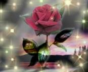 ������ ������� ���� ��������