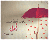 ������ ������� ��� ����