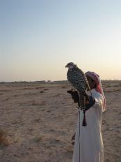 ������ ������� ��� ������...