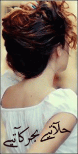 ������ ������� ������ ��������