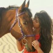 ������ ������� ���� �����