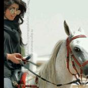 ������ ������� ��� �����