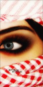 ������ ������� ������� �������