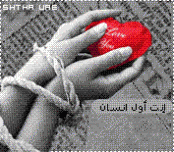 ������ ������� ������ ������