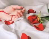 ������ ������� ��� ����