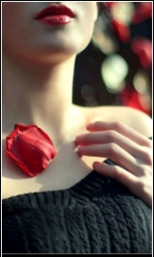 ������ ������� ������ ������ !