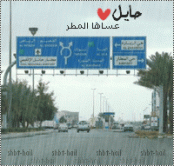 ������ ������� ����� ���