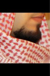 ������ ������� ������