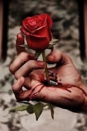 ������ ������� ���� �����