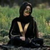 ������ ������� ���� ����