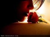 ������ ������� ���� ������