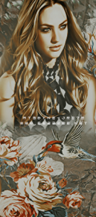 ������ ������� ����� ����� �������