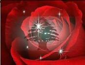 ������ ������� �������