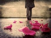 ������ ������� ��������