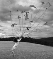 ������ ������� ������ ����