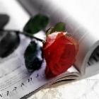 ������ ������� ��� ������