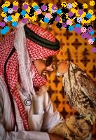 ������ ������� ( ��� �����)