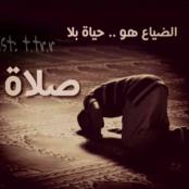 ������ ������� ���� �������