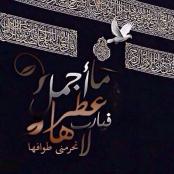 ������ ������� �������