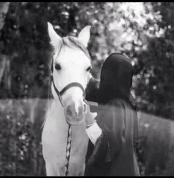 ������ ������� �����