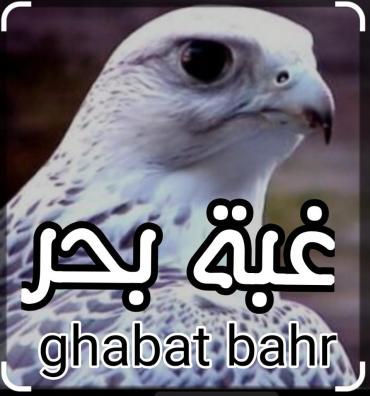 ������ ������� ��� ���